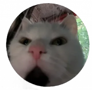 👀