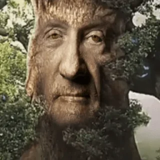 🧐