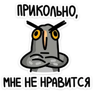 🦉