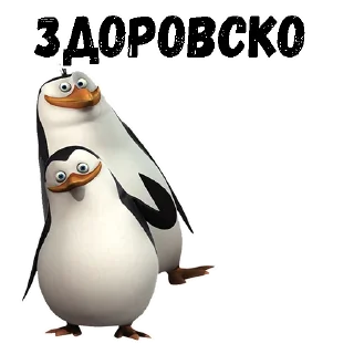 @animesticks :: Пингвины из Мадагаскара