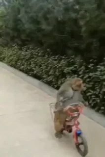 😁
