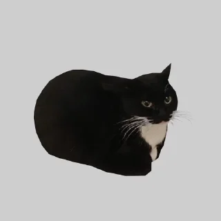 😳