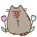 🌸