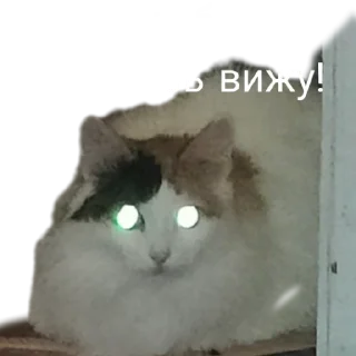 🤥