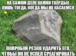 🧂