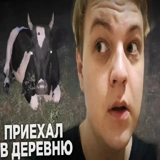 🐄