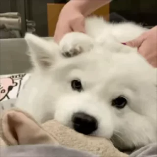 😌
