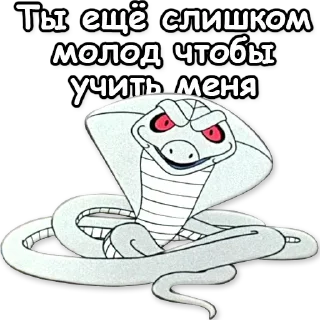 🧑‍🦳