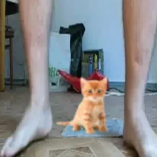 😳