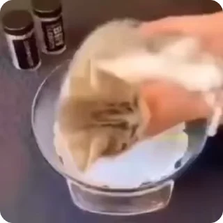 🍞