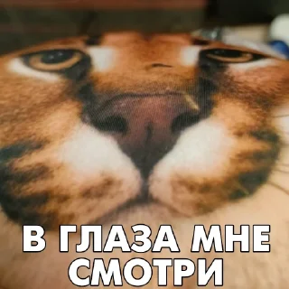 👀