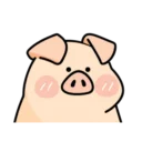 🐷