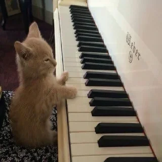 🎹