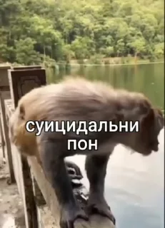 💀
