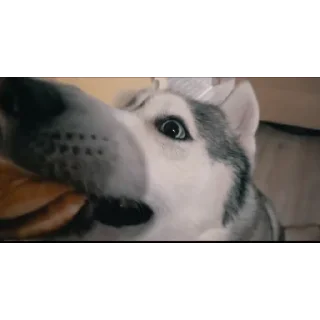 👍