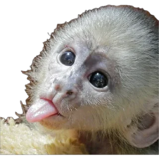 😛