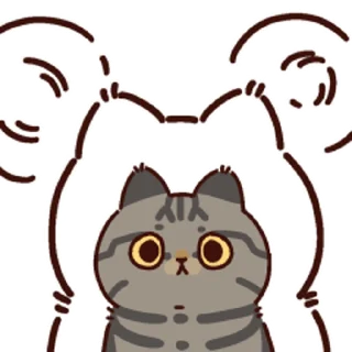 🐱