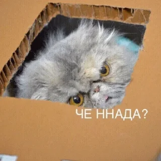 🤨