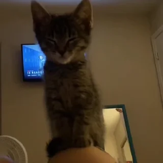 🛌
