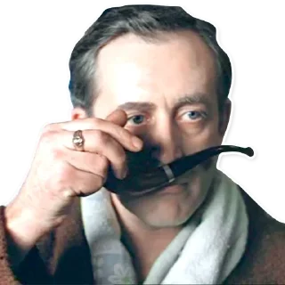 🕵