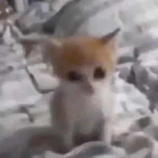 👀