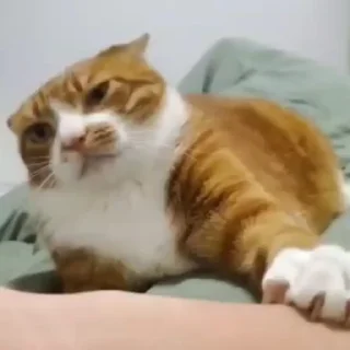 😒