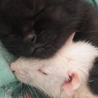 ❤️