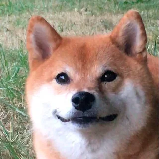 🙂