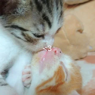 ❤️
