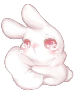 🐰