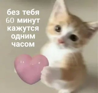 😶‍🌫️