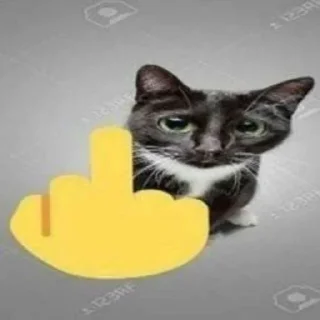 🖕