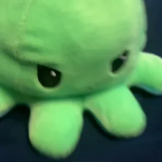 🐙