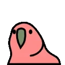 🦜