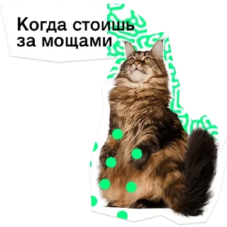 😧