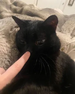 😑