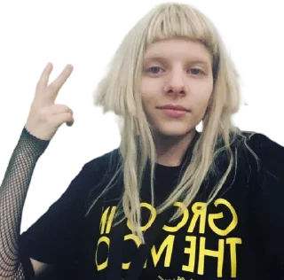 ✌️