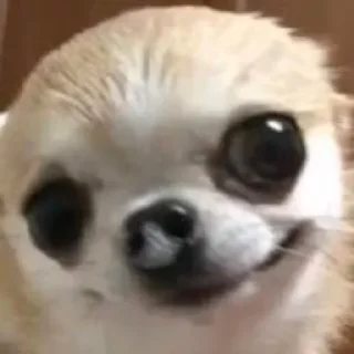 😏