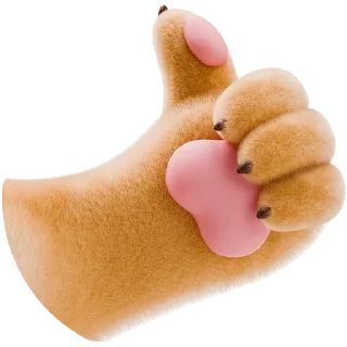 👍