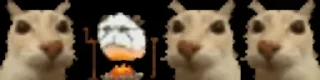 😳
