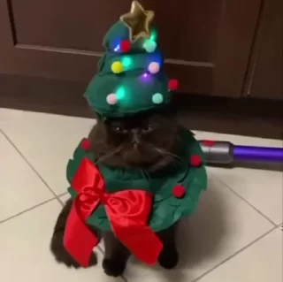 🌲