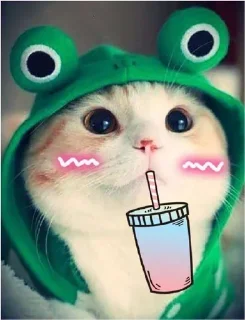 🥤