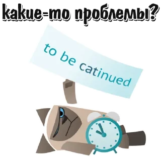 🐱