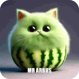 MR KOT @katoryflip подпишись