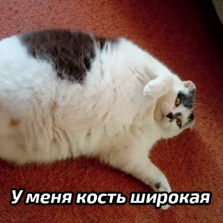 😇
