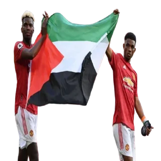 🇵🇸