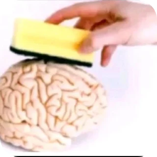 ✋