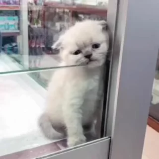 💞