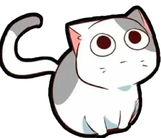 🐈
