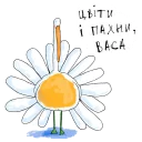 🌼